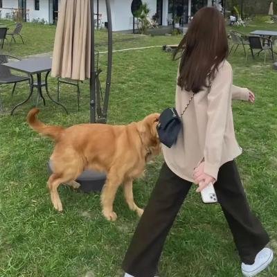 完美世界
